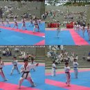 연세대태권도 이미지