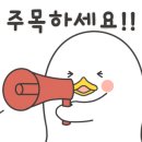 수퍼파인(SUPERPINE) 이미지