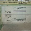 미래내일일경험사업 기원테크 드림버스컴퍼니 총 정리 후기