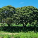 계정1리마을회관 이미지