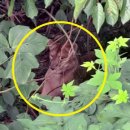 고령목장 이미지