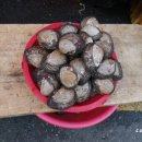 등대시장 이미지