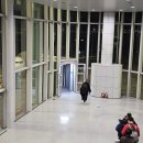 몽골 항공권 미아트항공 대한항공 공동운항 탑승 후기와 모바일 체크인 방법