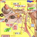 오장육부 이미지