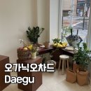 오가닉 오차드(organic orchard) 네이버블로그