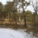 하점면-2 이미지