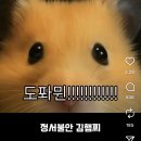 9월 [안동여행] 롯지호텔디여라, 얼바닉, 아크테릭스, 청도마켓아미꼬뜨