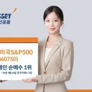 미래운용 "'TIGER 미국S&amp;P500 ETF, 하반기 개인 순매수 1위" 이미지