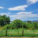 하남파크골프장 이미지