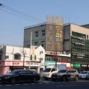 도마네거리 이미지