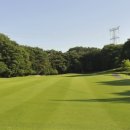 ACE GOLF 이미지