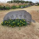 마라도천연보호구역 이미지