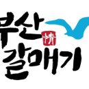 상남동149 이미지