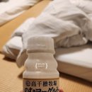 기리시마 | 가고시마 여행 | 기리시마 료칸 세이류소 후기(가고시마 공항에서 가는 법, 송영버스 신청, 가이세키...