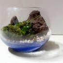 미니정원(테라리움) 이미지