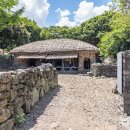 성읍1리사무소 | 수백 년 역사의 풍상(風霜)을 견딘 지혜: 제주 성읍마을 고창환 고택에서 마주하는 정의현의 시간