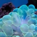 바다속이야기 이미지