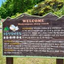 한얼목장 이미지