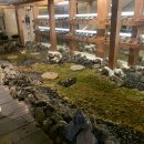 스무고개 | 부산 가성비 소고기 오마카세 스무고개 내돈내산 후기