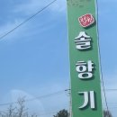 솔향기약국 이미지