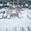 존쌤의커넥트영어학원 이미지