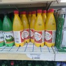청송 여행 추천&amp;꿀팁 : 주왕산 - 솔샘온천 - 불로촌 닭불백숙 포장