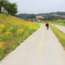 아버지와 자전거 이미지