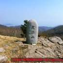 초보도 OK! 진도 첨찰산 등산 코스 후기 난이도