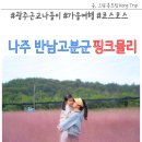반남고분군 | 나주 핑크뮬리 코스모스 명소 전남 나주 반남고분군