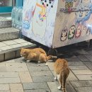 알콩달콩 이미지