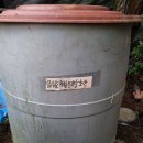 약닭 이미지