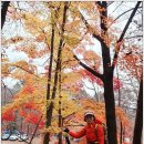 신검사
