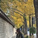 사직로 | 또간집 나온 진짜 서촌 맛집, 사직로 서울 방문 후기