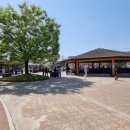 두봉농장 | 경기도 안성 "팜랜드" 다녀온 후기(feat.동물,전동자전거)