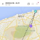 우무레 | 제주3박4일 태교여행, 2일차 : 제주도 만삭사진 도프포토그래픽스 후기 in 사려니숲길