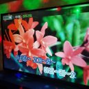 아리랑노래연습장 네이버블로그