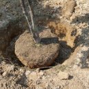 순천만국가정원프렌즈 이미지