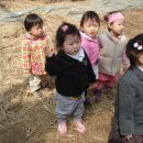 소여농장 이미지