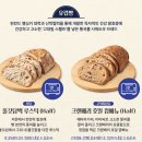 파리바게트 파란라벨 건강빵 내돈내산 후기