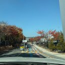 대화로 50번길 이미지