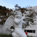 화민행정사사무소 이미지