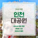 가나미래골재환경 | [인천대공원] 2026 인천대공원 벚꽃 축제 &amp; 인천대공원 강아지 벚꽃 구경