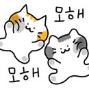 오돈 이미지