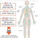 광주상무점 디바스킨 이미지