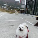 베르데펜션 네이버블로그