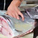 해양수산전문행정사 이미지