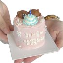 금정 레터링 케이크 :: 뚜데이 케이크 미니케이크 후기
