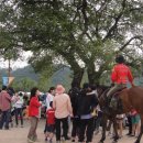 국보환경 이미지