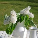 모이세슈퍼 이미지