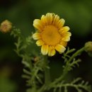 노을농장 이미지